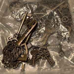 Vintage Style Bronze Skeleton Keys (40)